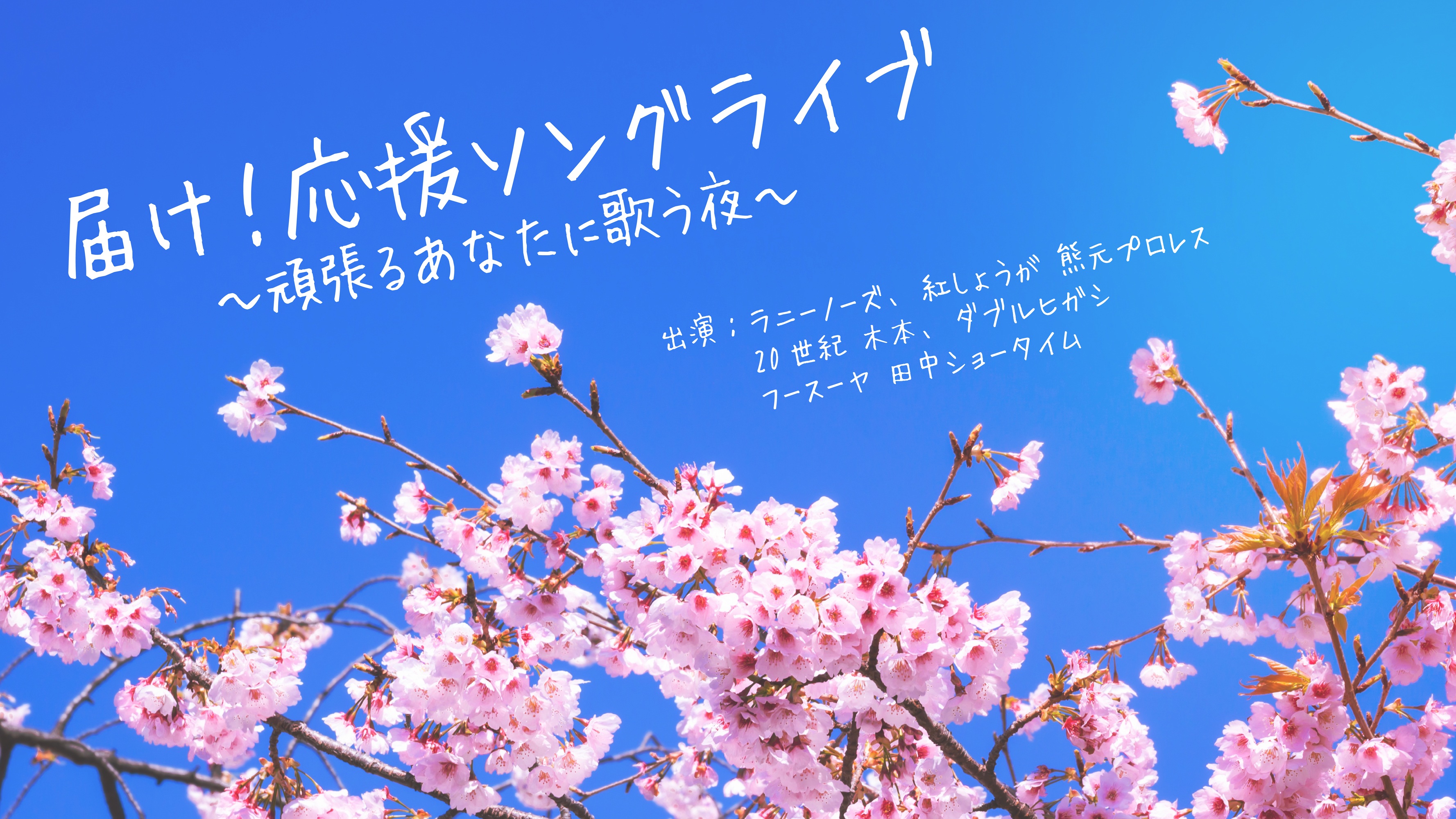 春のラフフェス　黒帯 春のラフフェス　黒帯